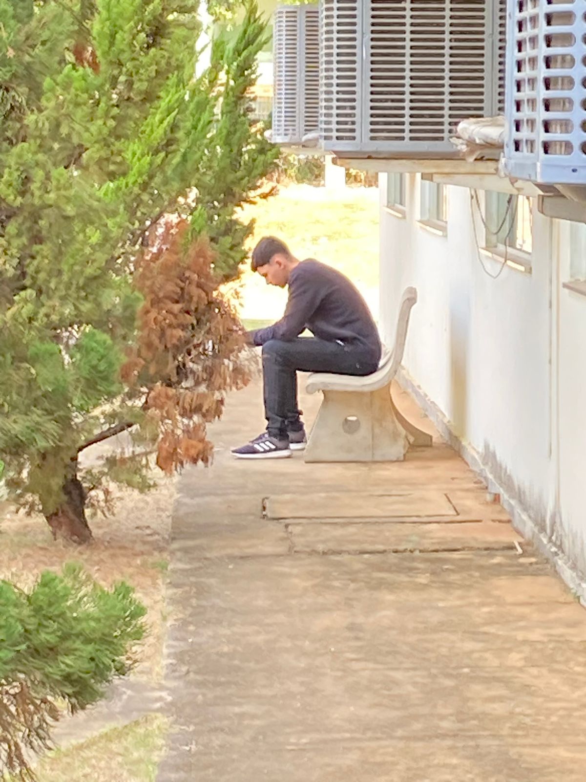 Descrição da foto 9